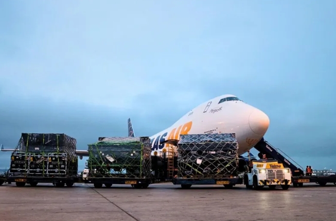 Talma Manages Cargo for Bad Bunny’s Lima Concert